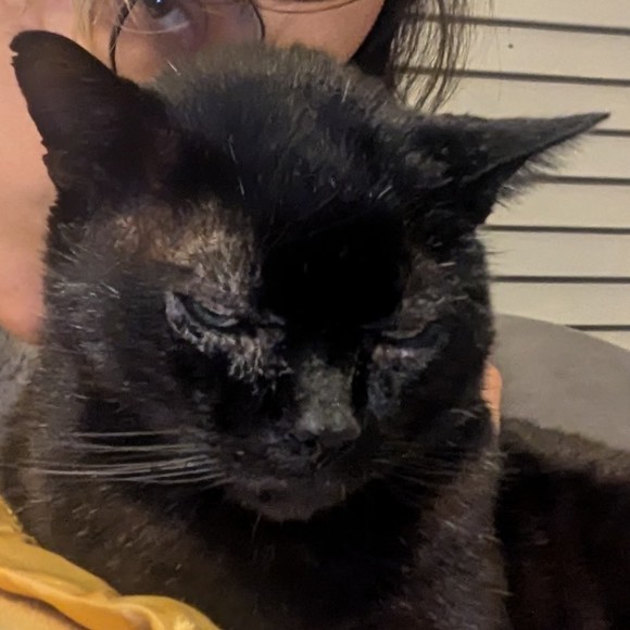 Meet your Posher, Tosh - Picture 1 of 1